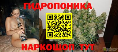 мяу мяу кристалл Гусь-Хрустальный