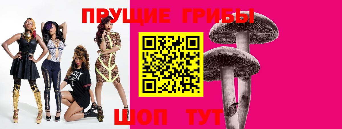 Елабуга  Псилоцибиновые грибы Cubensis  Вход с VPN 